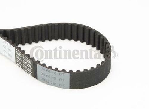Original continental ctam - original,